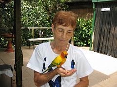 035 Birdworld Kuranda